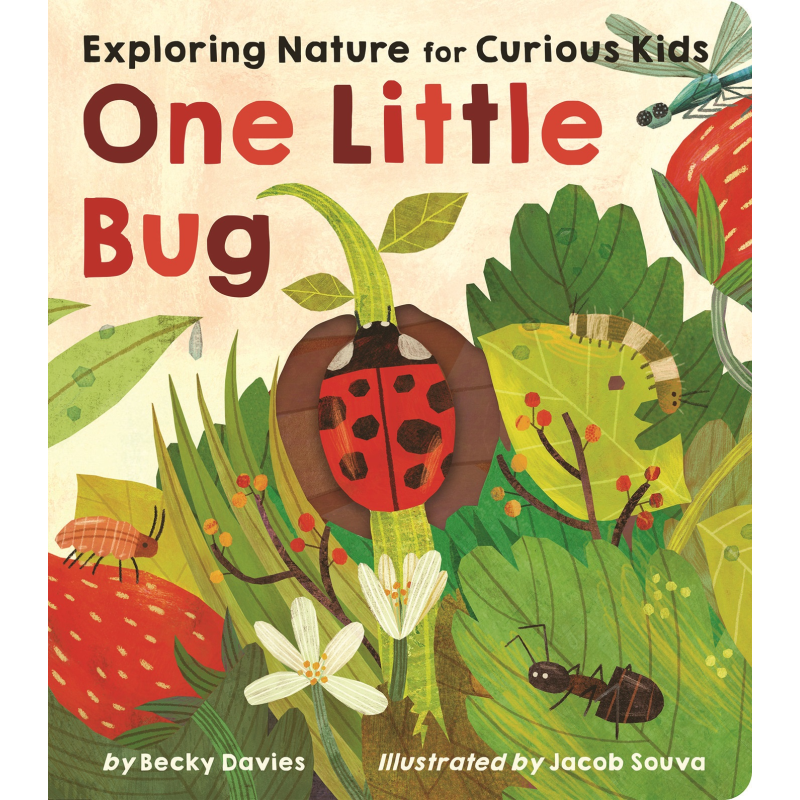 ONE LITTLE BUG - Discovery Toys