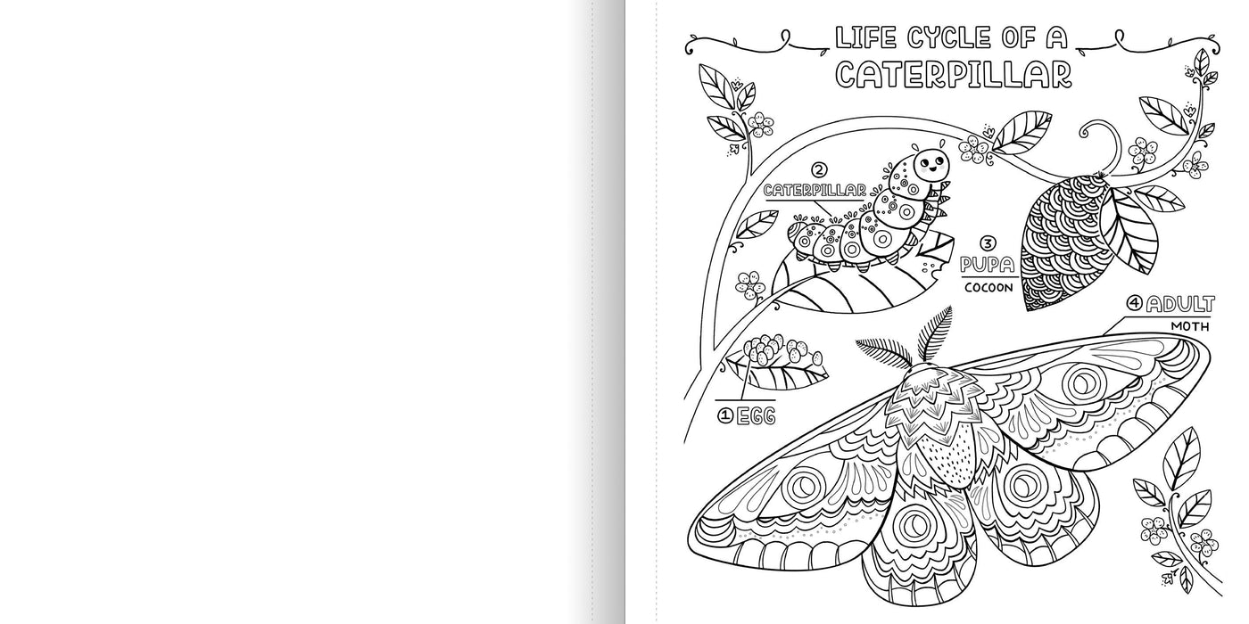 WHAT’S INSIDE A GARDEN: Science and Nature Coloring Book - Discovery Toys
