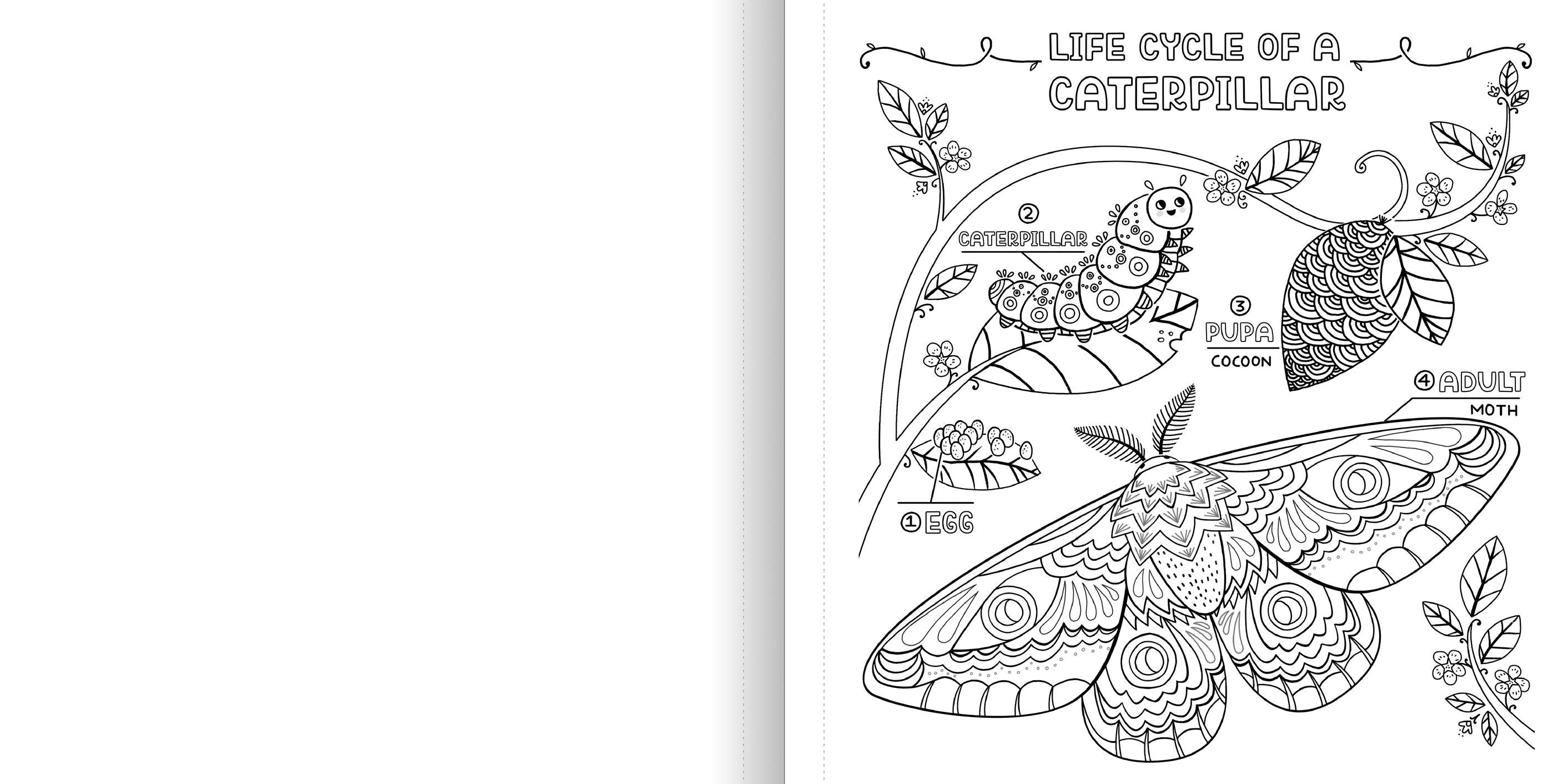 WHAT’S INSIDE A GARDEN: Science and Nature Coloring Book - Discovery Toys