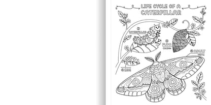 WHAT’S INSIDE A GARDEN: Science and Nature Coloring Book - Discovery Toys