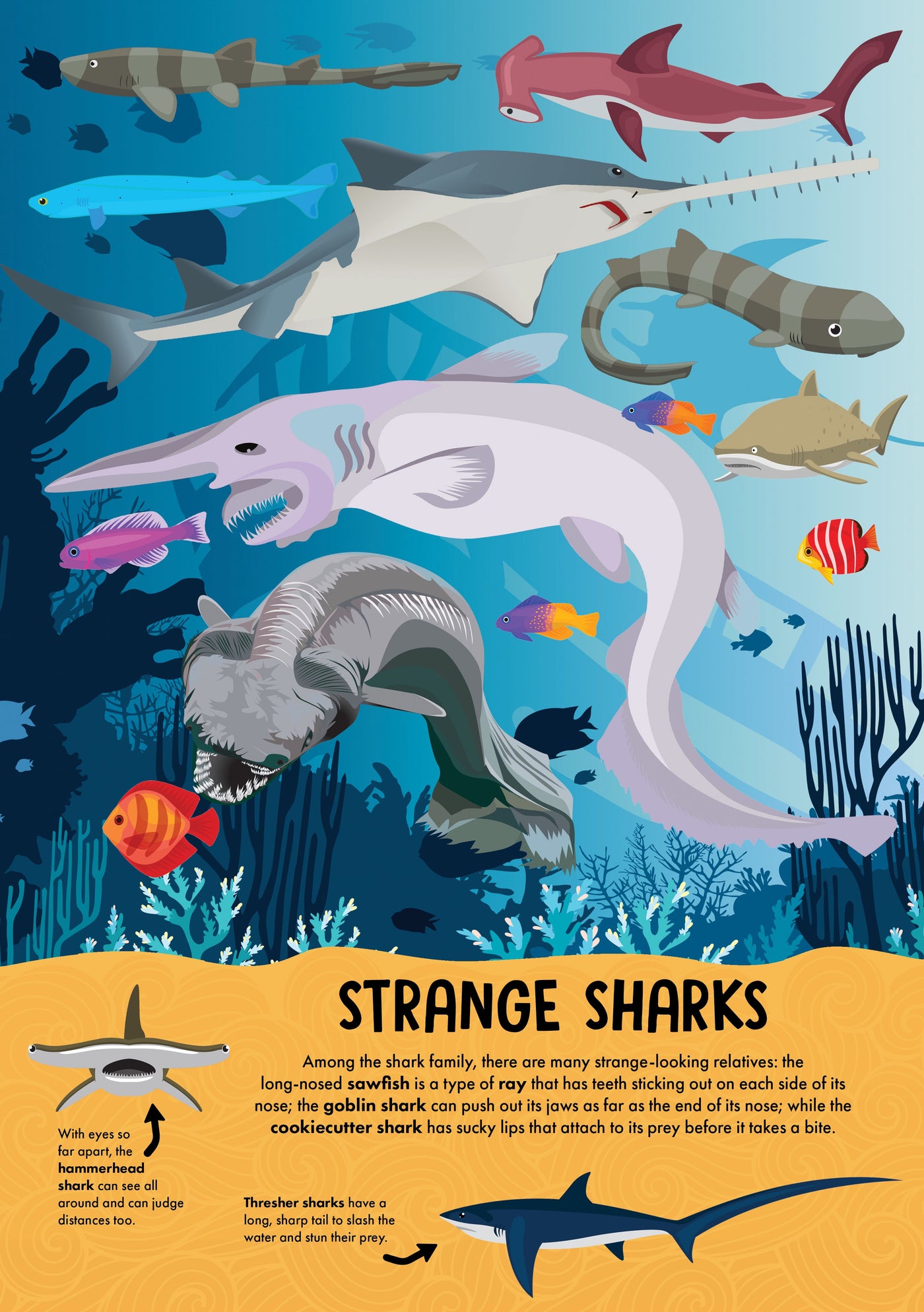 NATURE POP-UP! SHARKS - Discovery Toys