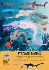 NATURE POP-UP! SHARKS - Discovery Toys
