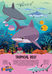 NATURE POP-UP! SHARKS - Discovery Toys