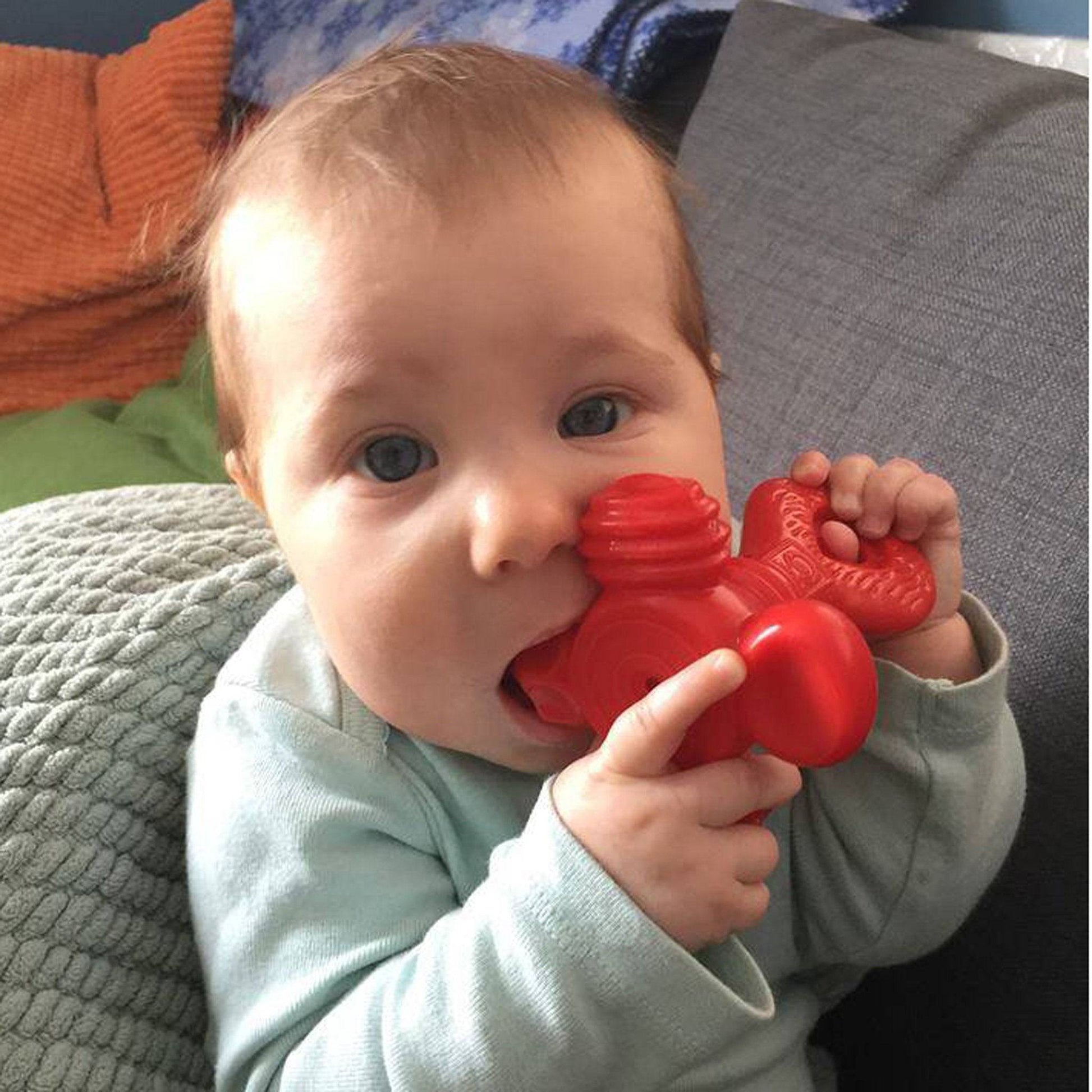 SUPER YUMMY Infant Teething Toy - Discovery Toys