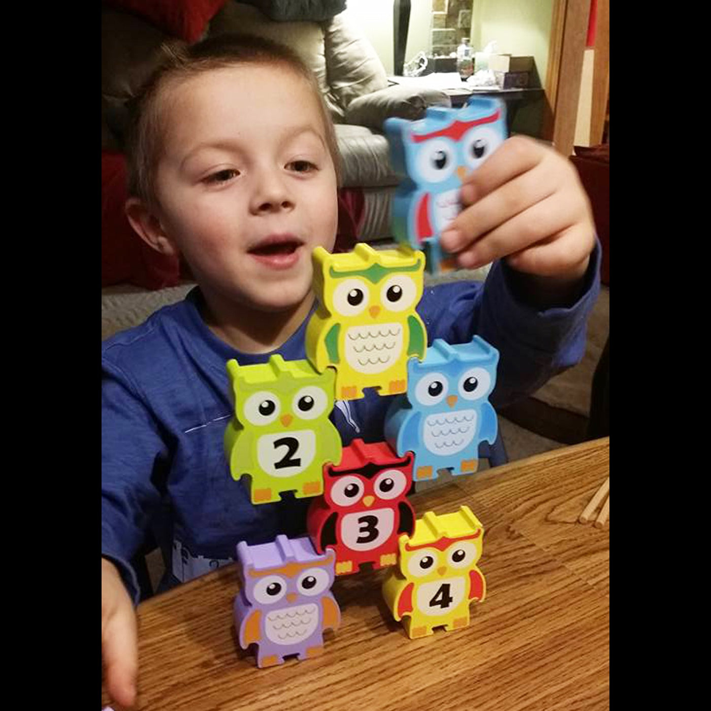 STACKING OWLS Wood Stacking Toy Challenge - Discovery Toys
