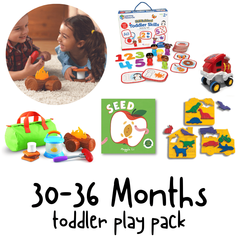 30-36 MONTHS TODDLER PLAY PACK Gift Set - Discovery Toys