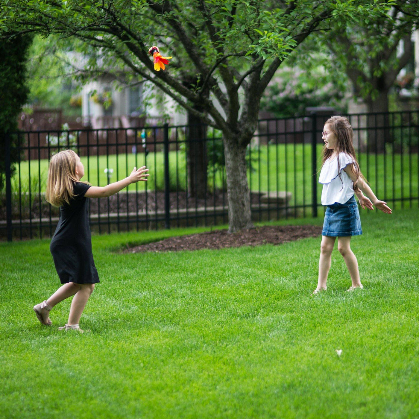 GO-MO FEATHER BALL Family Outdoor Backyard Summer Toy  - Discovery Toys