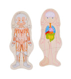 BODY AMAZING – Girl Wooden Layered Puzzle