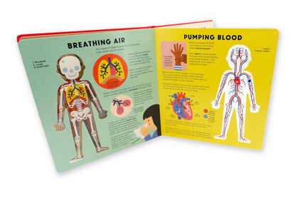 THE BODY BOOK - Interactive Science Book of Anatomy for Kids 7 Years & Up - Discovery Toys