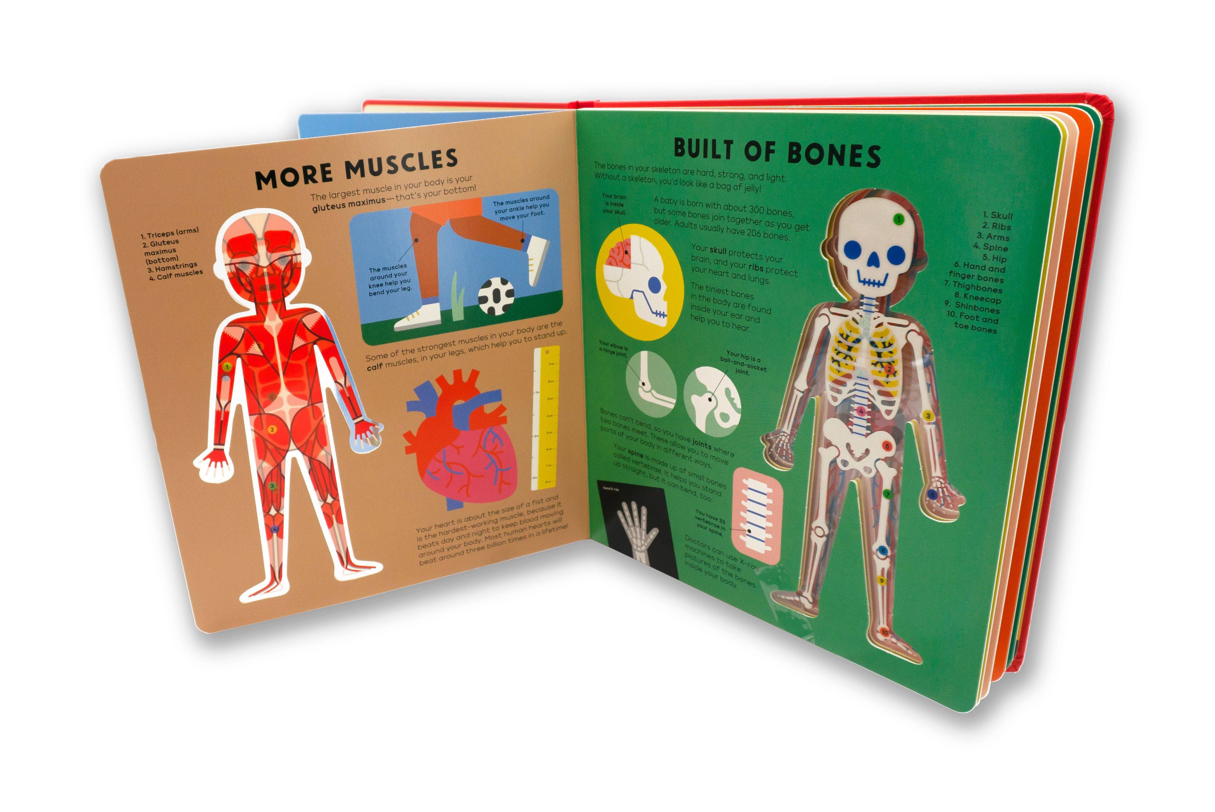 THE BODY BOOK - Interactive Science Book of Anatomy for Kids 7 Years & Up - Discovery Toys
