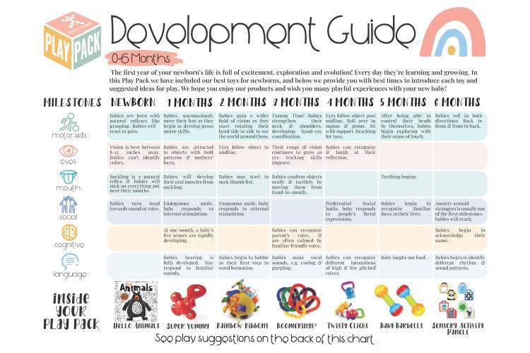 0-6 MONTHS INFANT PLAY PACK - Baby Development Tips Guide - Discovery Toys