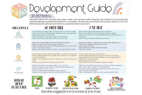30-36 MONTHS TODDLER PLAY PACK Gift Set - Discovery Toys