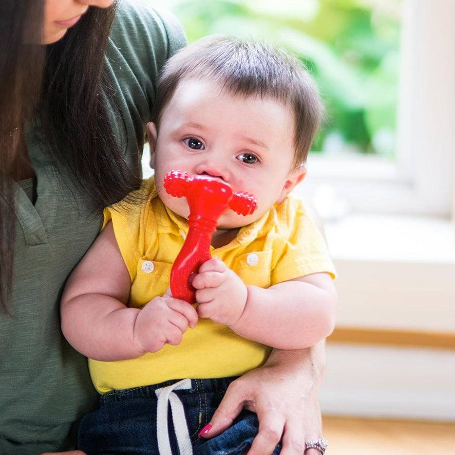 SUPER YUMMY Infant Teething Toy - Discovery Toys