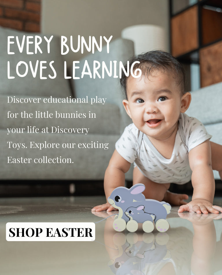 Early learning 2025 toys sale